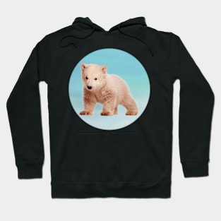 Save Polar Bear Hoodie